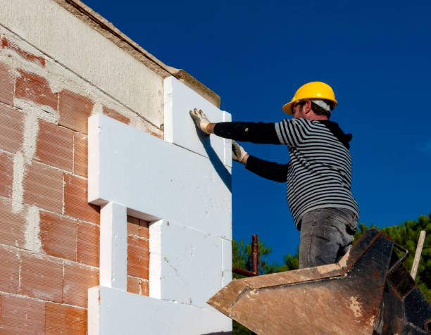 Best Professional Insulation Contractor  in St Louis, MO