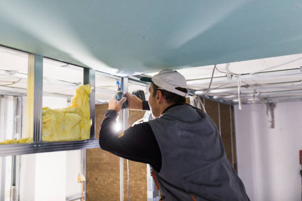 Best Insulation Inspection Services  in St Louis, MO