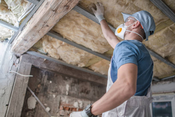 Best Fiberglass Insulation  in St Louis, MO