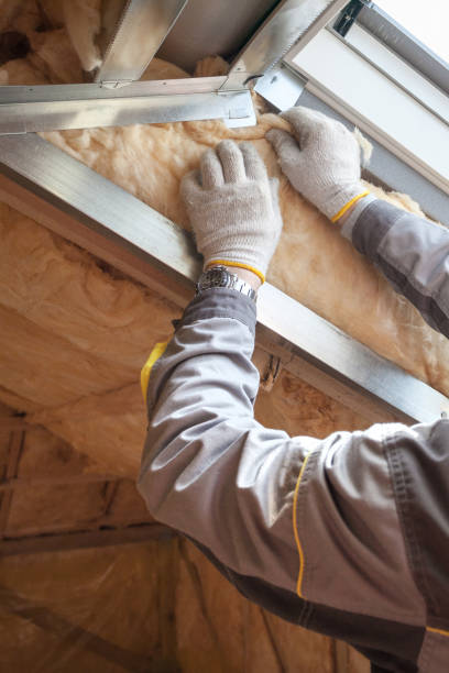 Best Attic Insulation Installation  in St Louis, MO