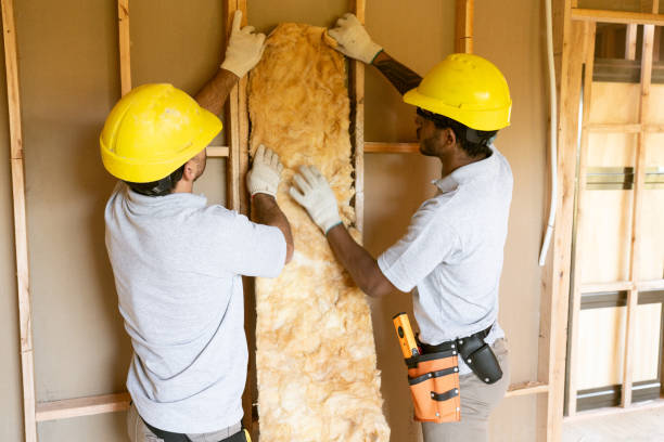 Garage Insulation Installation in St Louis, MO