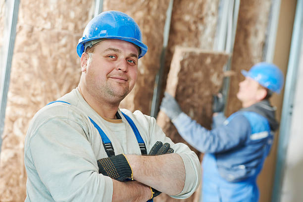 Best Insulation Contractors for Homes  in St Louis, MO