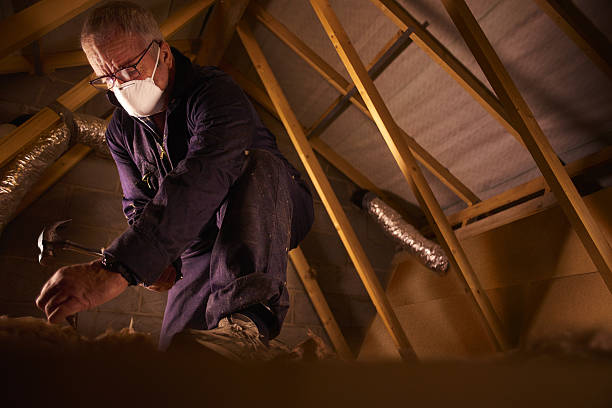 Best Affordable Insulation Services  in St Louis, MO